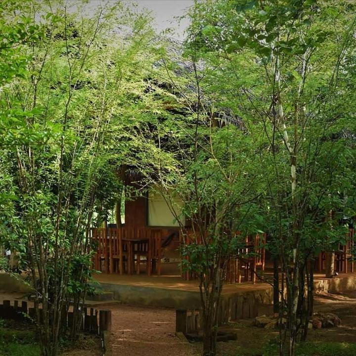Sky Forest Хабарана Экстерьер фото