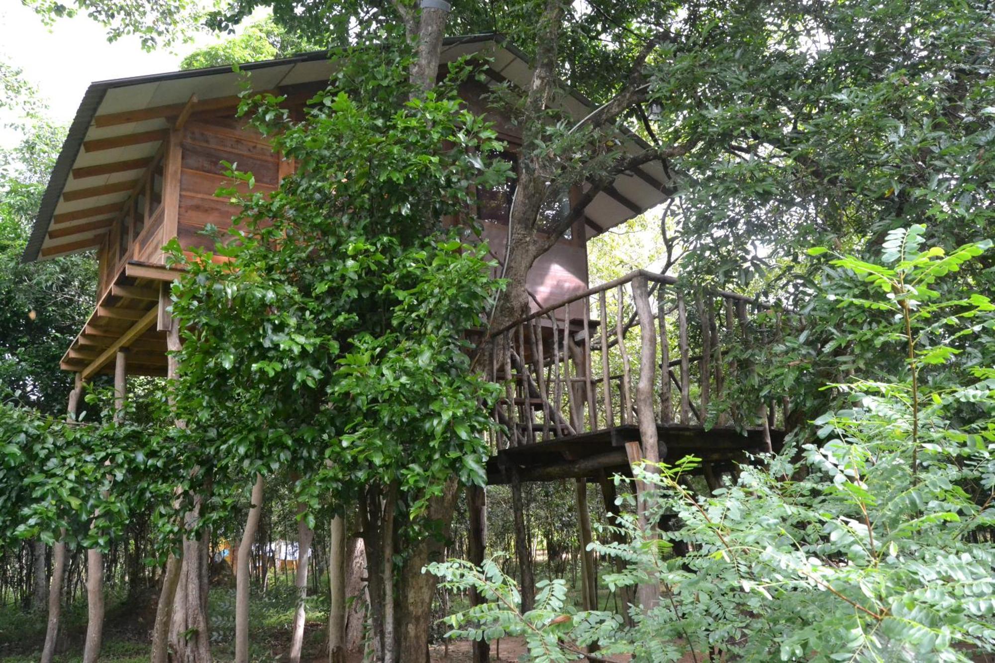 Sky Forest Хабарана Экстерьер фото